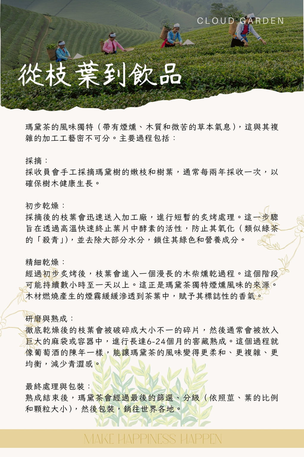 抗炎醒神 | 熱帶暢享 | 巴西果園Brazil Orchard | 瑪黛茶