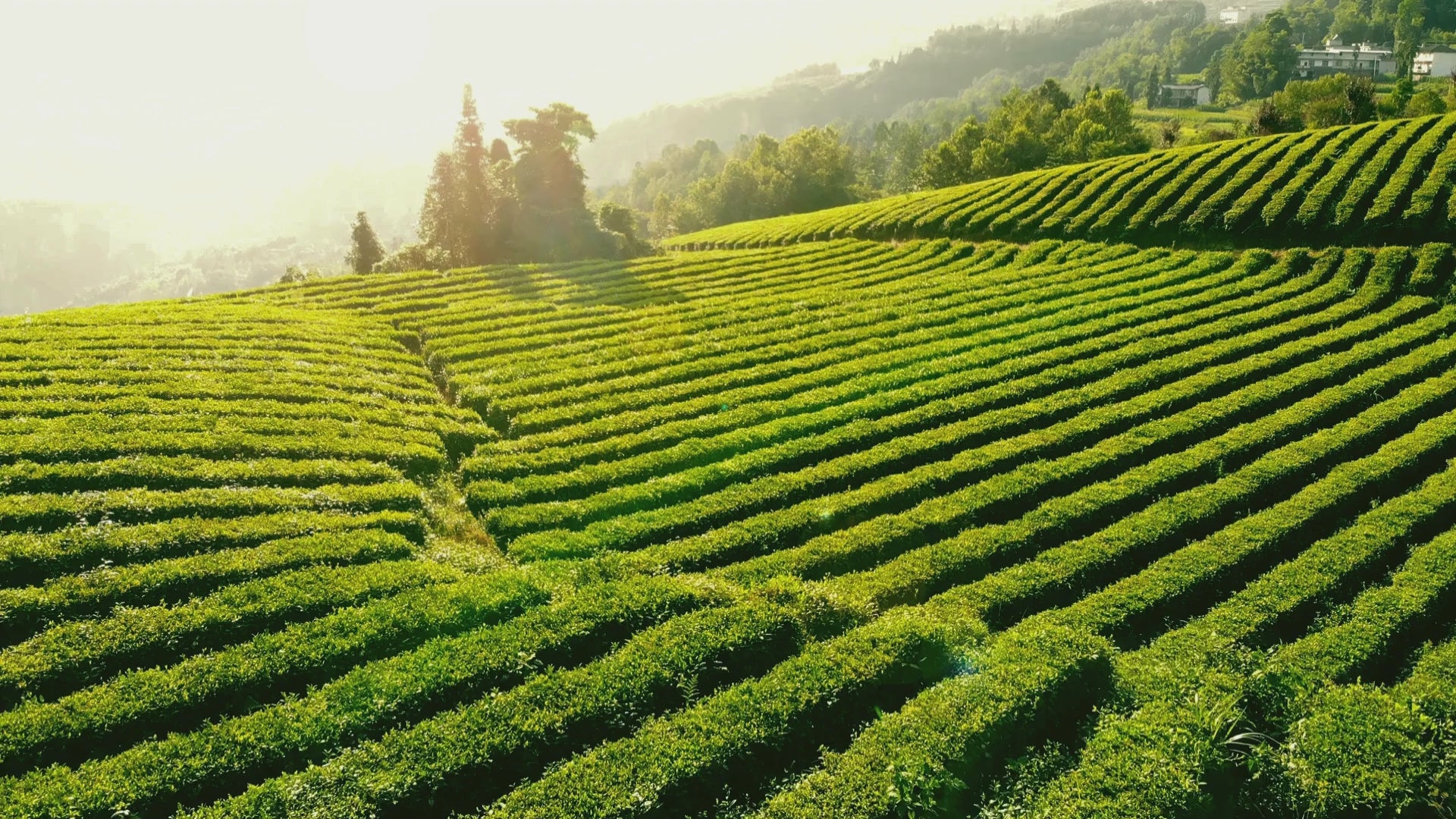 載入影片：